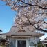 春の泉秀寺